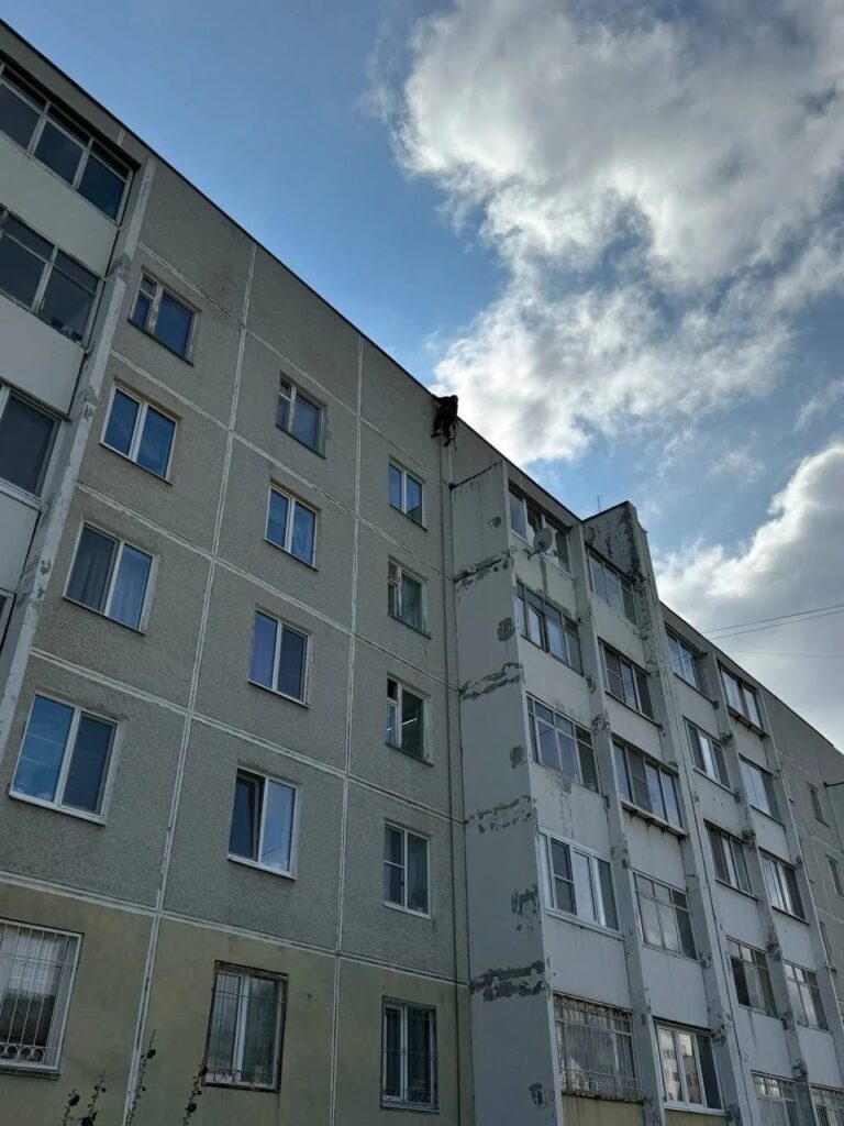 Герметизация межпанельных швов
